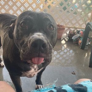 Meet your Posher, Andre